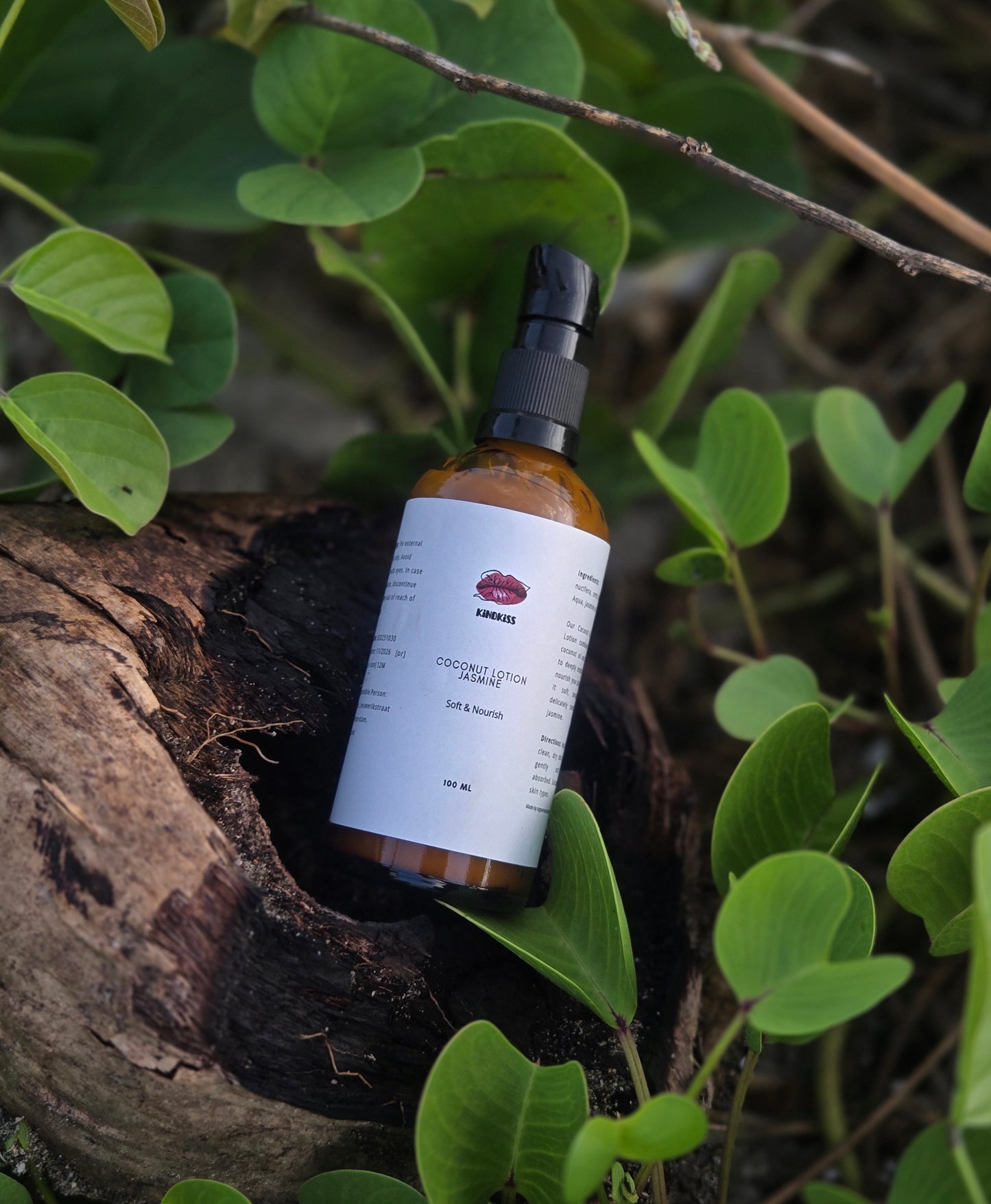 Coconut & Jasmine Lotion